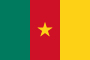 drapeau-cameroun